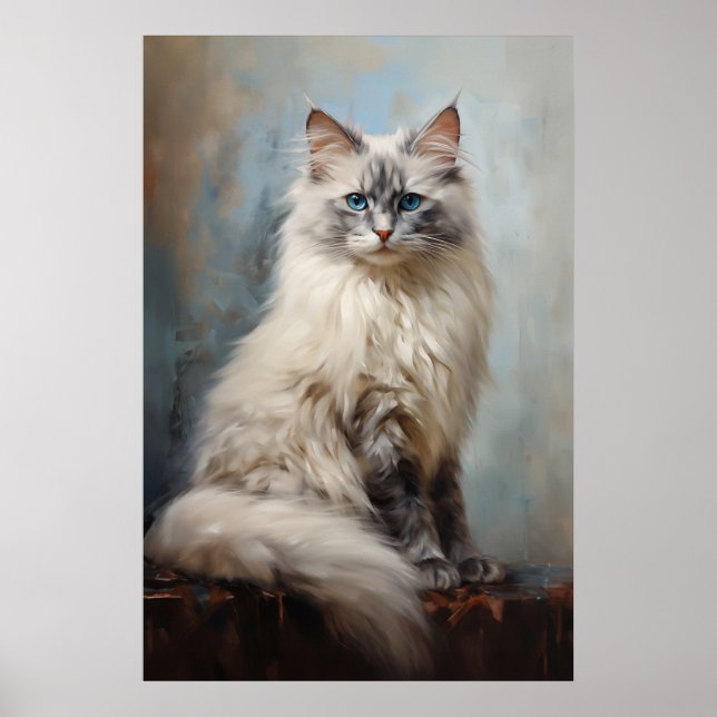 Poster Portrait de chat Ragdoll (Devant)