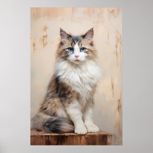 Poster Portrait de chat Ragdoll