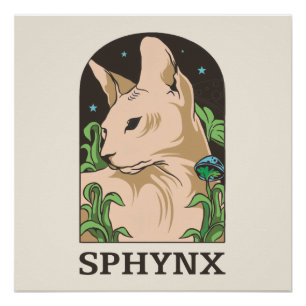 Poster  Portrait de chat Sphynx dessiné à la main 