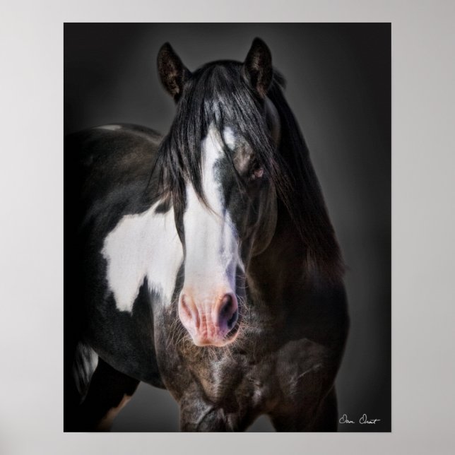 Poster Portrait de cheval II (Devant)