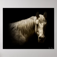 Portrait de cheval VI