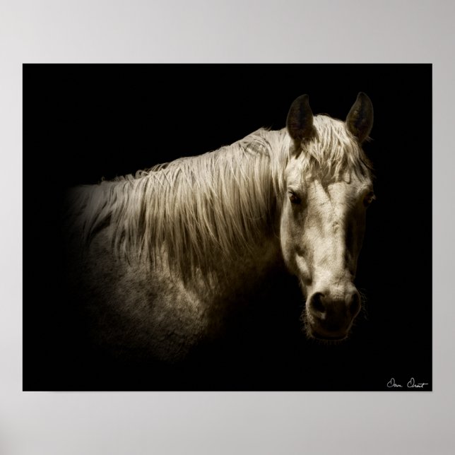 Poster Portrait de cheval VI (Devant)