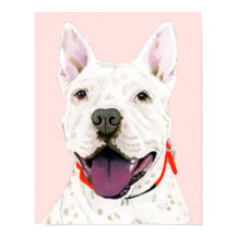 Portrait de chien