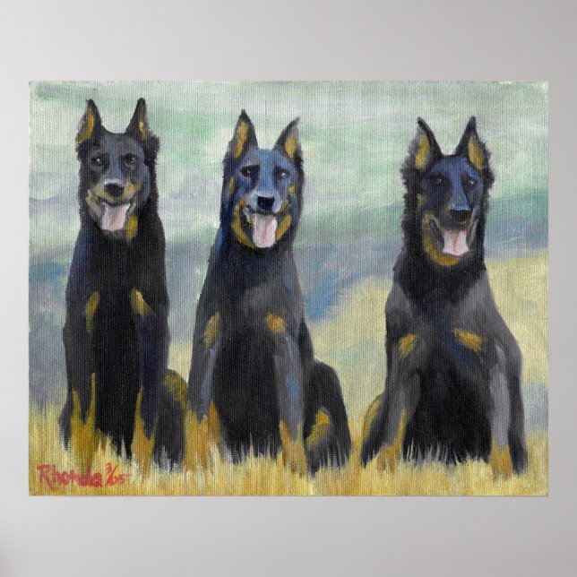 Poster Portrait de chien de Beauceron (Devant)