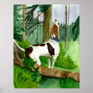 Poster Portrait de chien de Coonhound de marcheur de