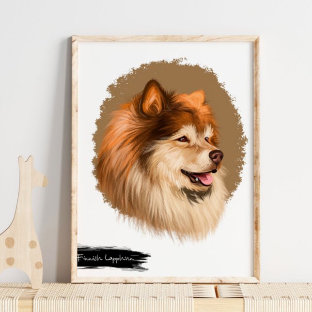 Poster Portrait de chien lapon finlandais | Mur Portrait  (Créateur téléchargé)