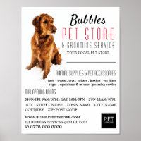 Portrait de chien, magasin d'animaux de compagnie 
