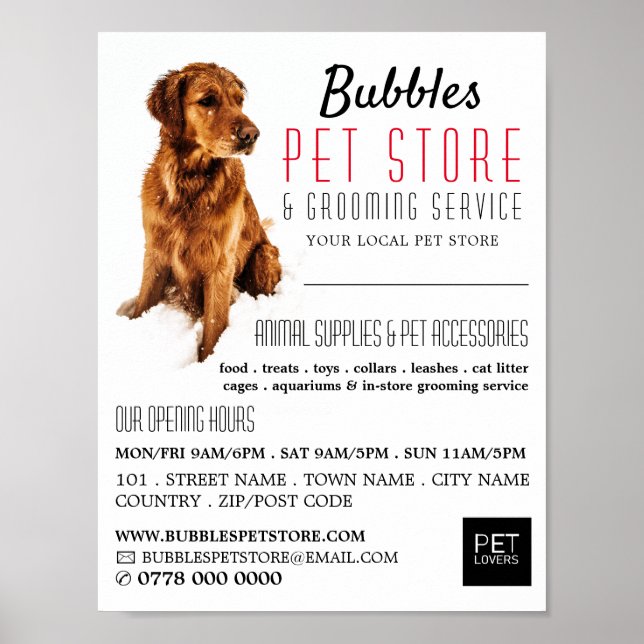 Poster Portrait de chien, magasin d'animaux de compagnie  (Devant)