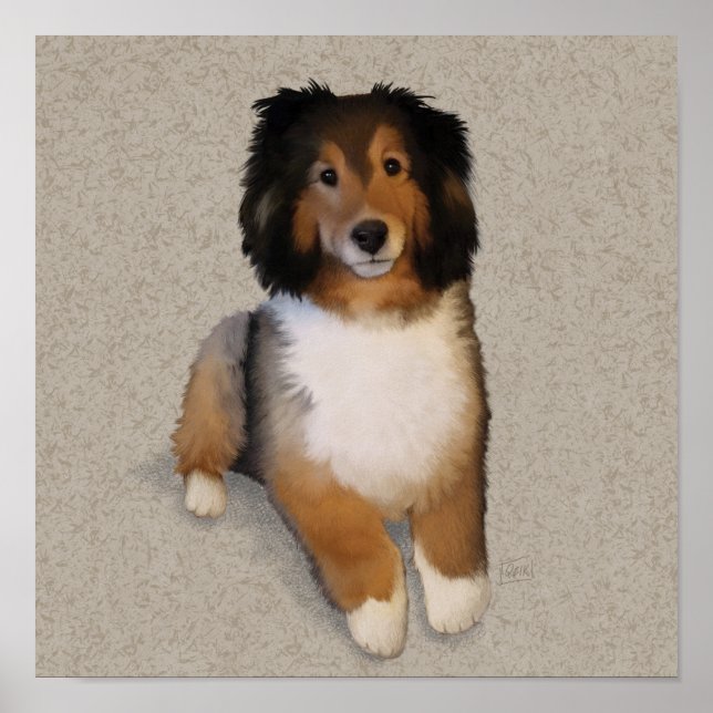 Poster Portrait de chien Shelter mix (Devant)