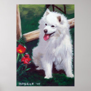 Poster Portrait de Chien Spitz japonais