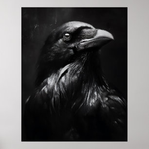 Poster Portrait de corbeau monochrome