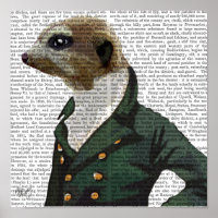 Portrait de Dandy Meerkat