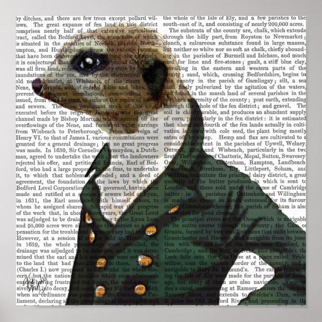 Poster Portrait de Dandy Meerkat (Devant)
