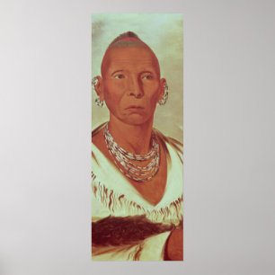 Poster Portrait de faucon noir, chef indien