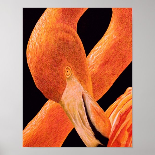 Poster Portrait de Flamant (Devant)
