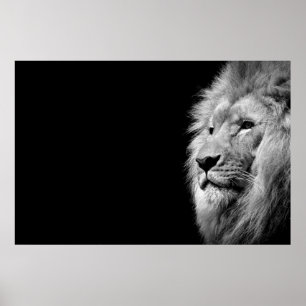 Poster Portrait de Lion noir blanc - Photographie d'anima