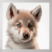 Portrait de louveteau mignon | Carré 1:1