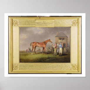 Poster Portrait de "Quiz", propriété de Lord Rous, arrièr