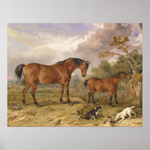 Poster Portrait de Reformer, Blucher, Tory et Crib