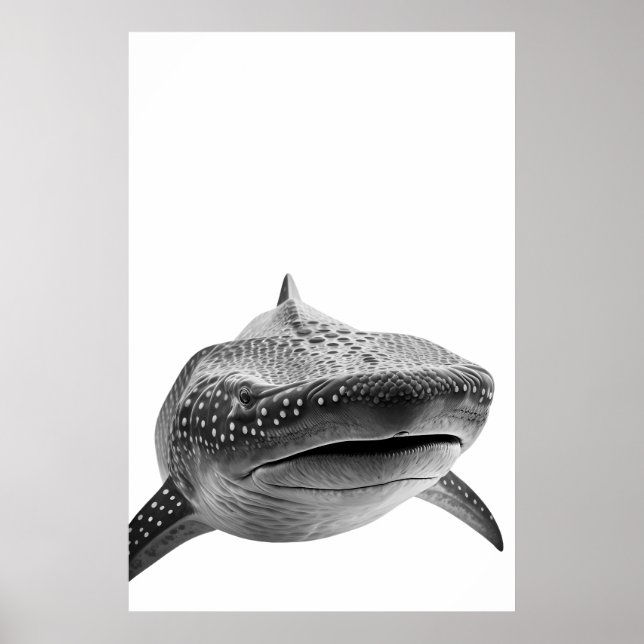 Poster Portrait de requin baleine moderne noir blanc (Devant)