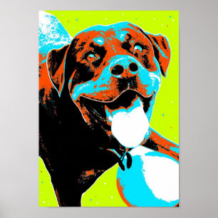 Poster Portrait de Rottweiler brillant et amusant