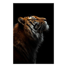 Portrait de Tigre Majestueux, Force et Confiance R