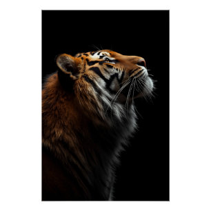 Poster Portrait de Tigre Majestueux, Force et Confiance R
