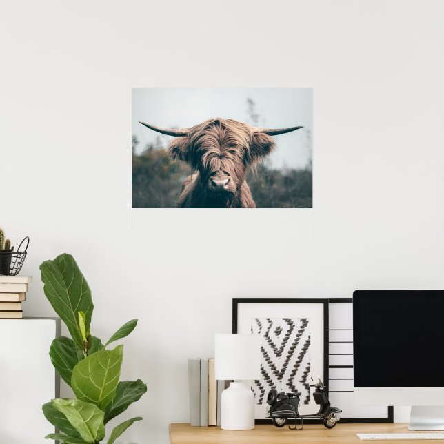 Poster Portrait de vache Highland (Bureau à domicile)