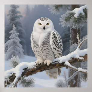 Poster Portrait d'hiver de Harfang des neiges