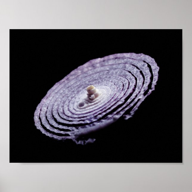 Poster Portrait d'oignon rouge (Devant)