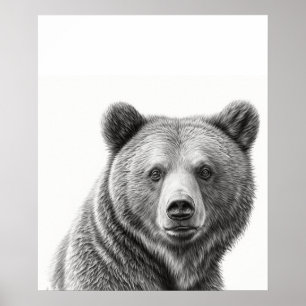 Poster Portrait d'ours grizzli noir blanc