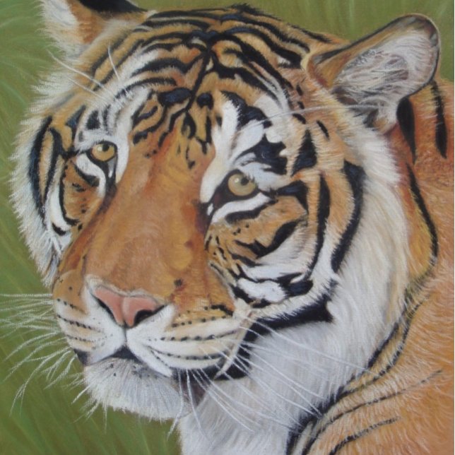 Poster portrait du grand tigre de chat (Créateur téléchargé)
