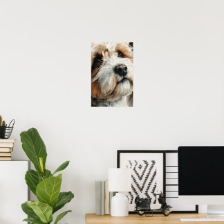 Poster Portrait d'un chien shih-doodle