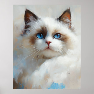 Poster Portrait d'un élégant chat Ragdoll aux yeux bleus