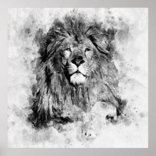 Poster Portrait d'un lion mâle en aquarelle noir et blanc