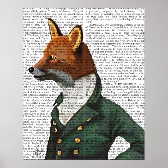Poster Portrait Fox (Devant)