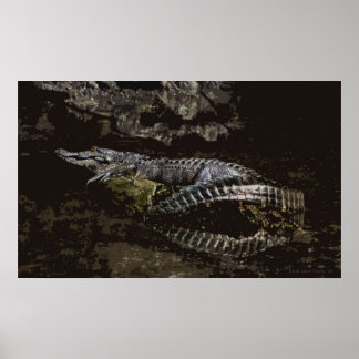 Poster Portrait Gator