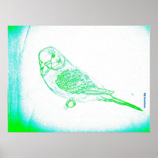Poster Portrait Green Budgie