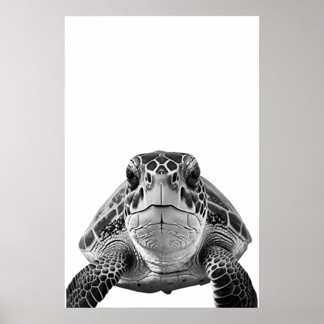 Poster Portrait moderne de tortue marine noir blanc (Devant)