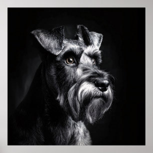 Poster Portrait monochrome de Schnauzer