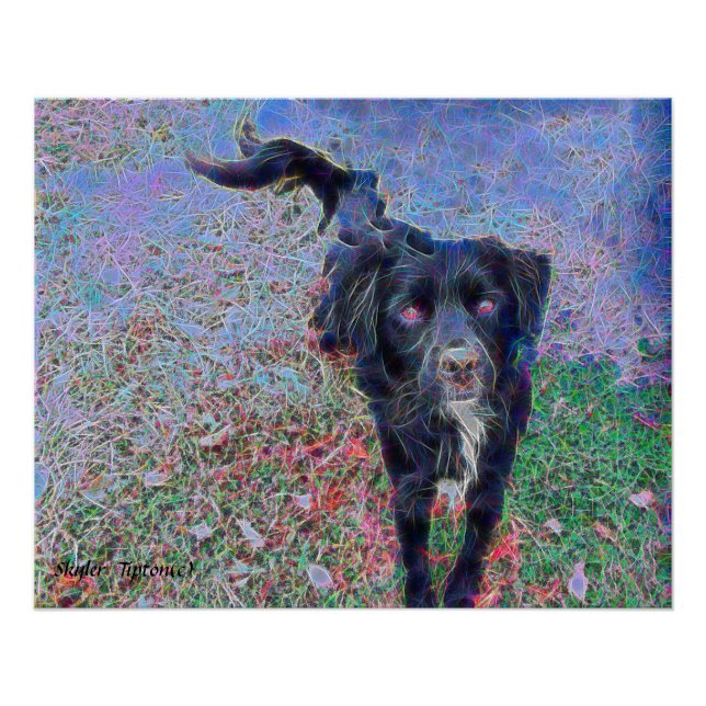 Poster Portrait numérique Black Mutt (Devant)