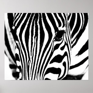 Poster Portrait zèbre noir et blanc