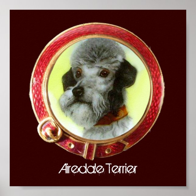 Poster PORTRAITS DE CHIEN DE MINIATURE VICTORIENNE Aireda (Devant)