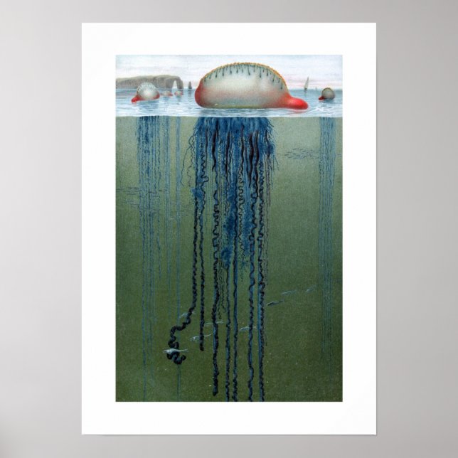 Poster Portugais de la guerre (Devant)