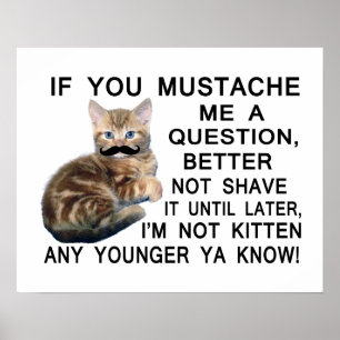 Poster Poser Une Question Au Kitten Avec Une Moustache