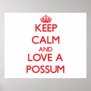 Poster Possum