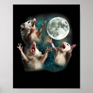 Poster Possum Moon 3 Opossum Drôle Mème Maudit bizarre