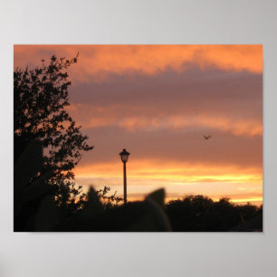 Poster Poste d'ampoule et oiseaux