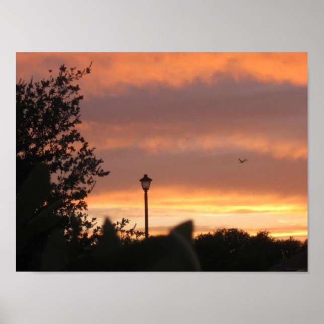 Poster Poste d'ampoule et oiseaux (Devant)