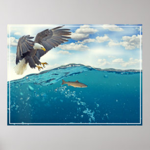 Poster Poster-Aigle